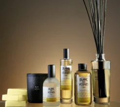 PARFUM D'INTERIEUR MONTS BOISES .